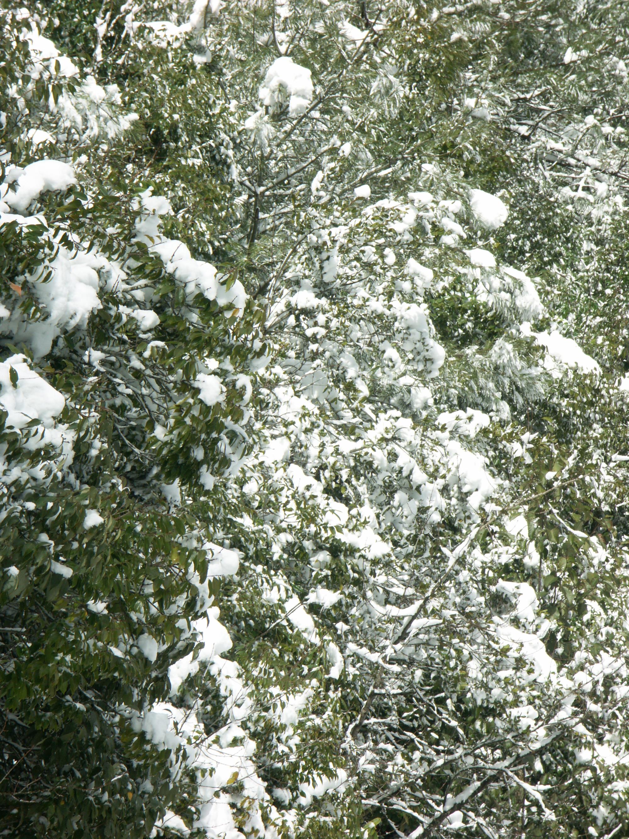 祥云下雪啦！